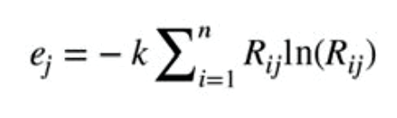 Equation 1.2 (Fox)